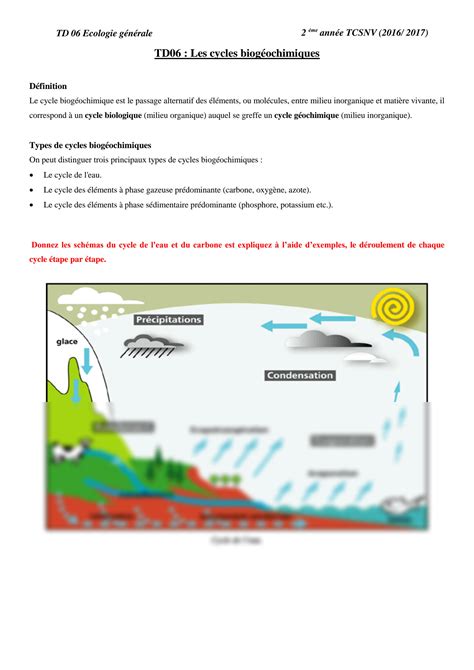 SOLUTION Les Cycles Biogeochimiques Studypool