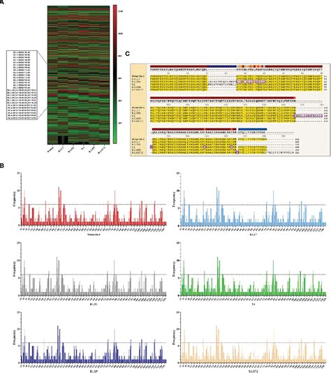 Figure 5 From Design Of A Recombinant Multivalent Epitope Vaccine Based