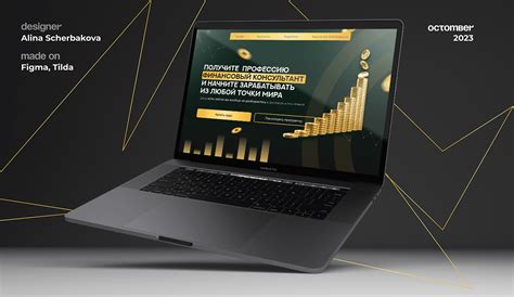 landing page  finance  behance