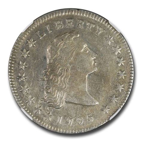 Buy 1795 Flowing Hair Dollar AU-53 NGC | APMEX