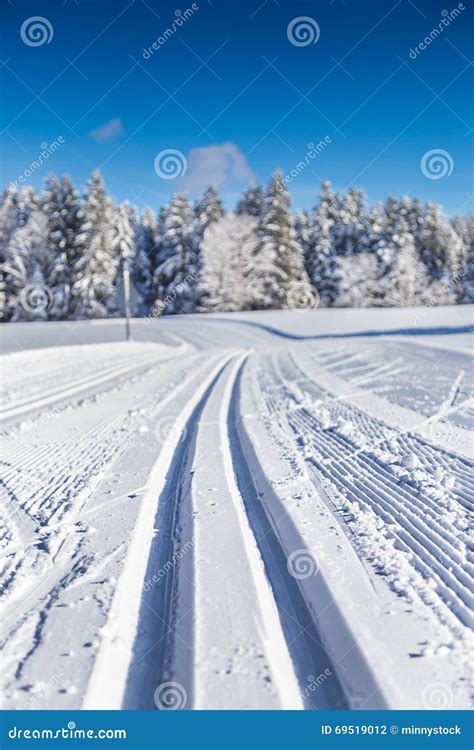 Cross Country Skiing Track In Winter Landscape Stock Photo Image Of