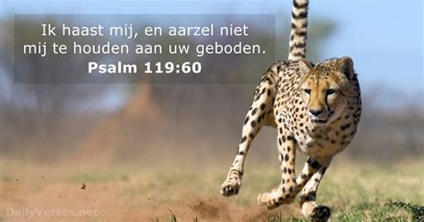 19 December 2022 Bijbeltekst Van De Dag Psalm 119 60 DailyVerses Net