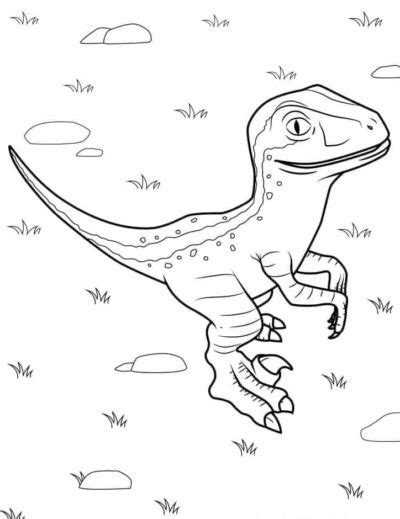 Desenhos Do Velociraptor Para Colorir