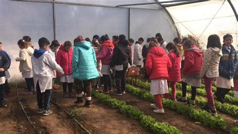 Cumple su tercer año un proyecto de huerta agroecológica escolar Ecos