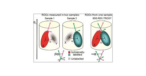 Simultaneous Measurement Of Residual Dipolar Couplings For Proteins In