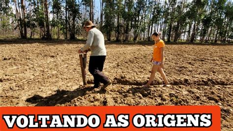 PLANTAMOS NOSSA LAVOURA AQUI NA ROÇA NA MATRACA MANUAL COMO ANTIGAMENTE