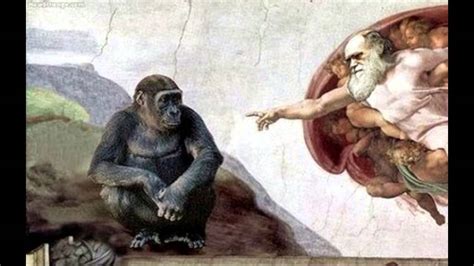 El Evolucionismo Darwinista YouTube