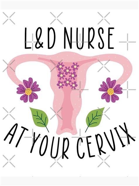 Labor And Delivery L D Nurse At Your Cervix Funny L And D Nurse