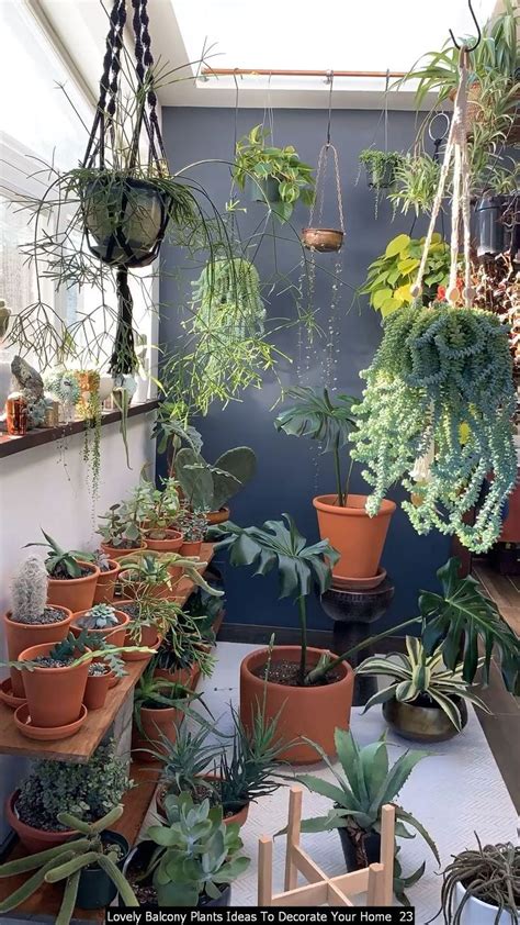 Plants To Decorate Balcony Balcony Decorating Ideas Geekedouthome