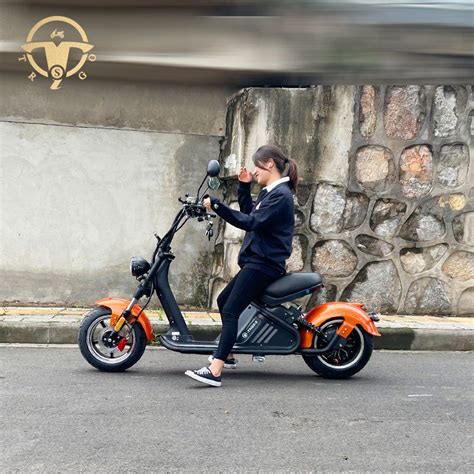 OEM Citycoco Electric Motorcycles 1500W High Speed Scooters Factory Fat