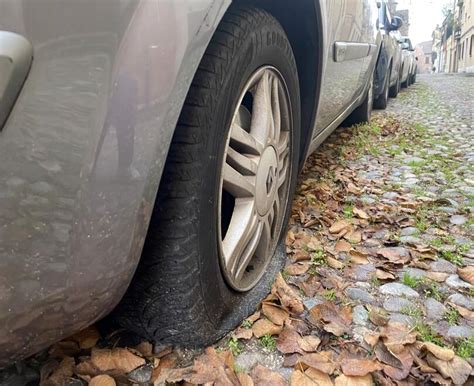 La Banda Delle Gomme In Azione A Lido Estensi La Nuova Ferrara