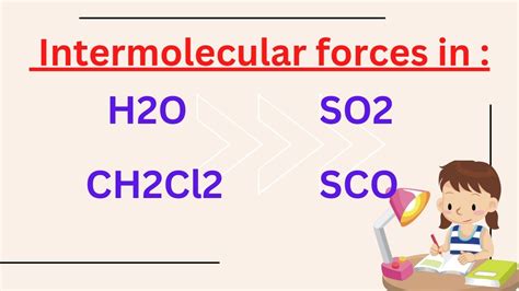 Intermolecular Forces In So2 H2o Ch2cl2 Sco Chemical Bonding Neet