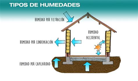 Dime qué tipo de humedad sufres y te diré cómo solucionarla Tureforma