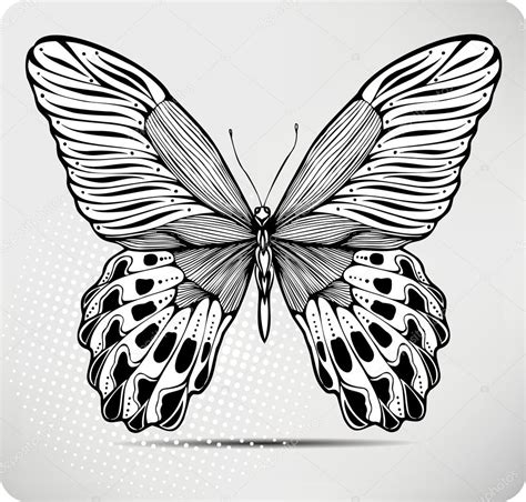 Butterfly Hand Drawing Vector Illustration Stock Vector Mur34