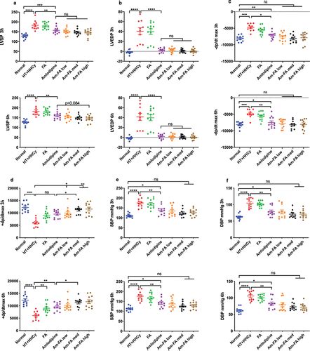 Full Article Folic Acid Enhances The Cardiovascular Protective Effect