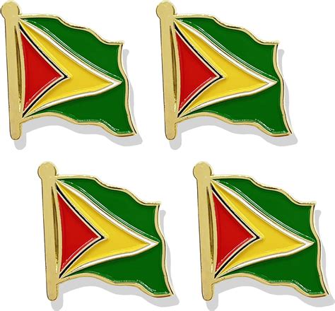 Amazon Stidsds Guyana Flag Pin Guyana Flags Pins Lapel Guyanese