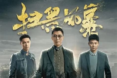 电视剧《扫黑风暴》28集电视剧解说文案片源下载（完结） 678解说文案网