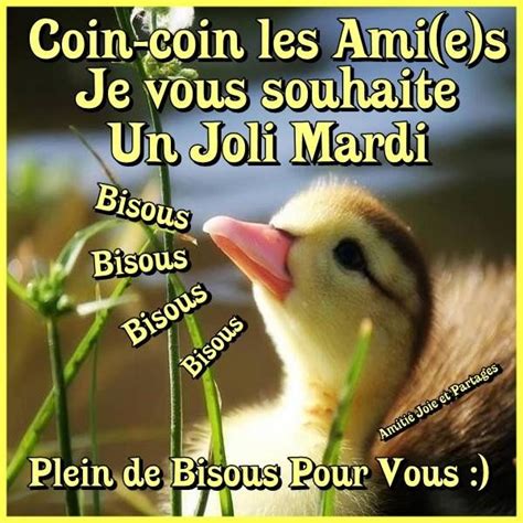 Coin Coin Les Ami E S Je Vous Souhaite Un Joli Mardi Bisous Bisous