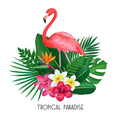 Tropisches Banner Sommerdesign F R Werbung Mit Flamingo Tropischen