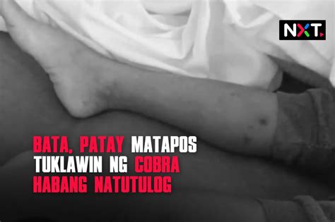 Bata Patay Matapos Tuklawin Ng Cobra Habang Natutulog Abs Cbn News