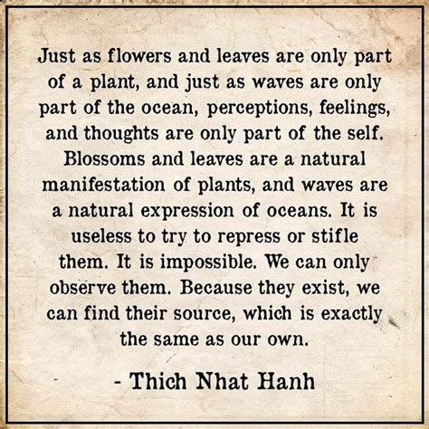 Thich Nhat Hanh Gems On Instagram Buddha Quotes Life Thich Nhat Hanh