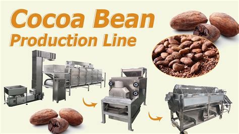 How To Process Cocoa Bean Roasting Peeling Grading YouTube