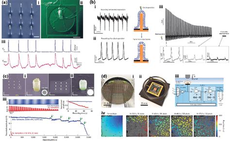 Nanoneedle Arrays As Nanoelectrodes For Intracellular Electrical