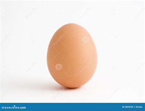 Single Egg On White Stock Photo Image Of Shell Protein 583290