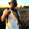 Largemouth Bass Fishing Tips, Tactics And Techniques