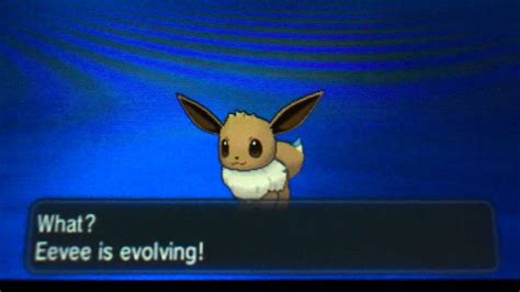 Eevee Evolution Hd Wallpaper Pxfuel