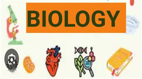 Introduction To Biology Biology Study Of Life Main Branches Of