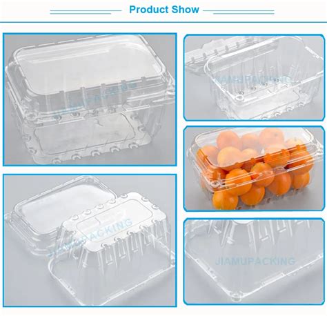 Wholesale Clear Plastic Fruit Clamshell Punnet Box Packaging Container