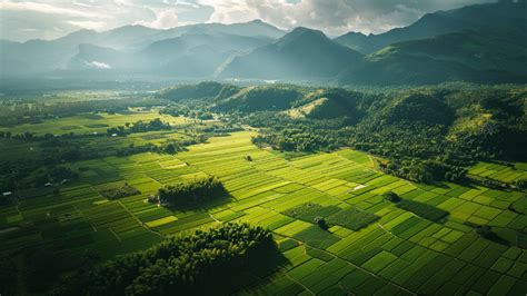 Your Guide for Land Entitlement 2025