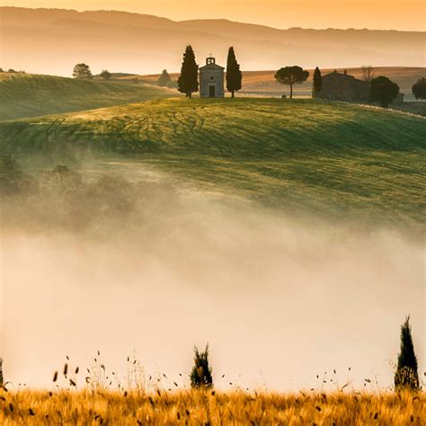 Eccellenza Di Toscana La Prima Guida Ai Migliori Vini Toscani