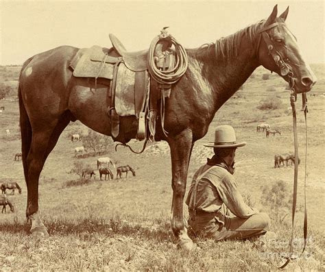 Horse Wrangler Photograph by Roberto Prusso | Fine Art America