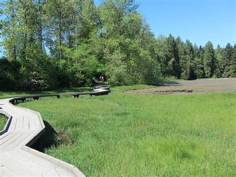 Shoreline Trail at Rocky Point in Port Moody | Vancouver Trails