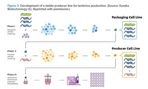 Supporting Cell And Gene Therapy Through Multimodal And Flexible Facilities