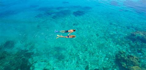 The Best Snorkelling Fiji Has To Offer