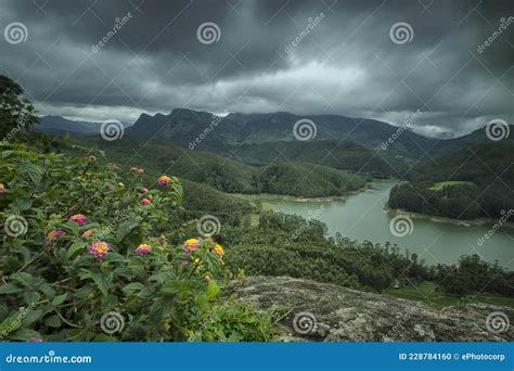 Mattupetty Dam and Backwaters at Munnar, Kerala, Stock Photo - Image of ...