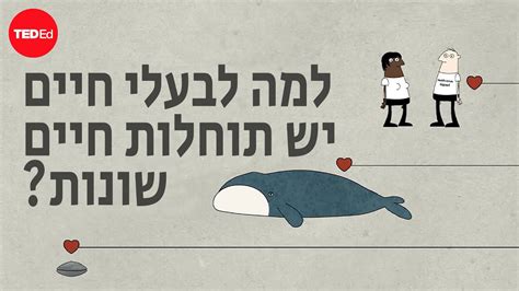 למה לבעלי חיים יש תוחלות חיים שונות גואו פדרו דה מגלהייס YouTube