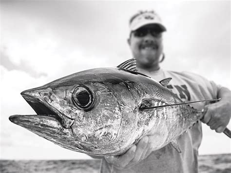 Big Blackfin Tuna Fishing Salt Water Sportsman