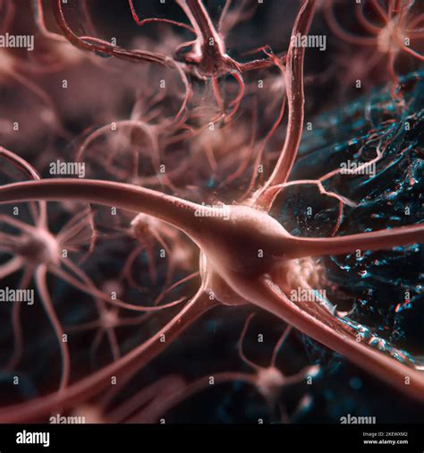 Microscopic View Of The Synapses Brain Connections Neurons And