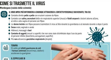 Vaiolo Delle Scimmie Cos Il Virus Mpox Mutazioni E Come Si Diffonde