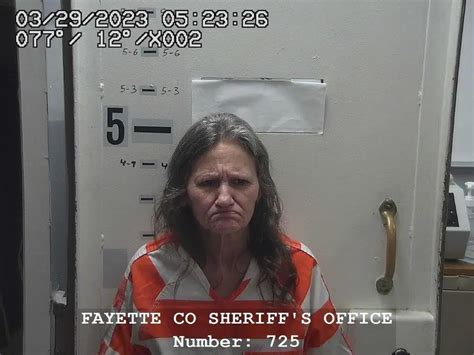 Vandalia Woman Charged With 4 Felonies In Fayette County Court