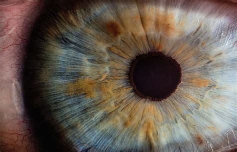 Fotograf A En Primer Plano Del Ojo Humano Iris Pupila Ojos Macro