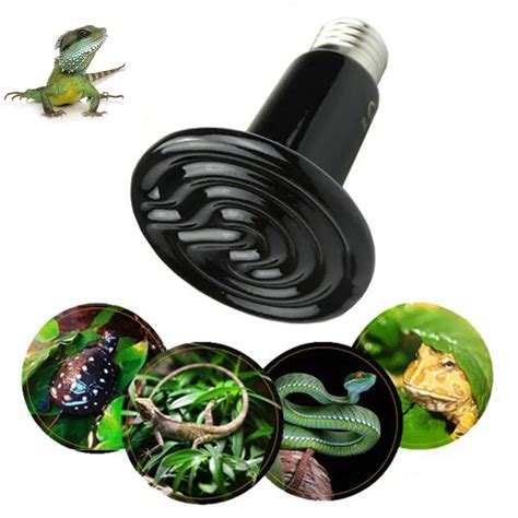 Lampe Chauffante En C Ramique Pour Animaux De Compagnie W V