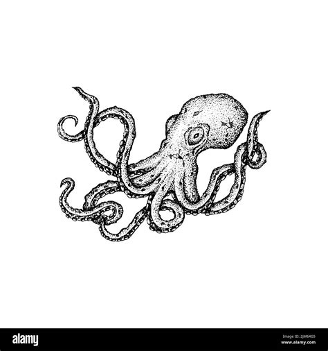 Octopus Dotwork Drawing Vector Illustration Of Hand Drawn Objects