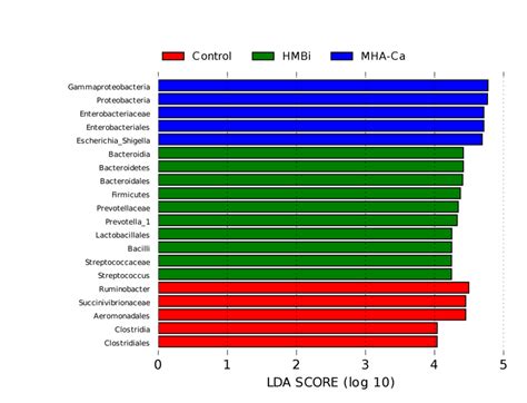 Significantly Different Bacterial Taxa Identified By The Linear