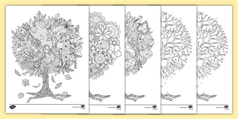 Seasons Of Trees Mindfulness Coloring Pages Profesor Hizo