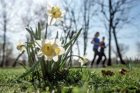 Ljeto Malo Poranilo U Bih Za Vikend Do Stepeni Bosnainfo